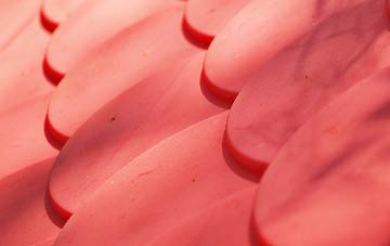 Harpford plastic roof costs