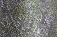 Harpford fibreglass roof work